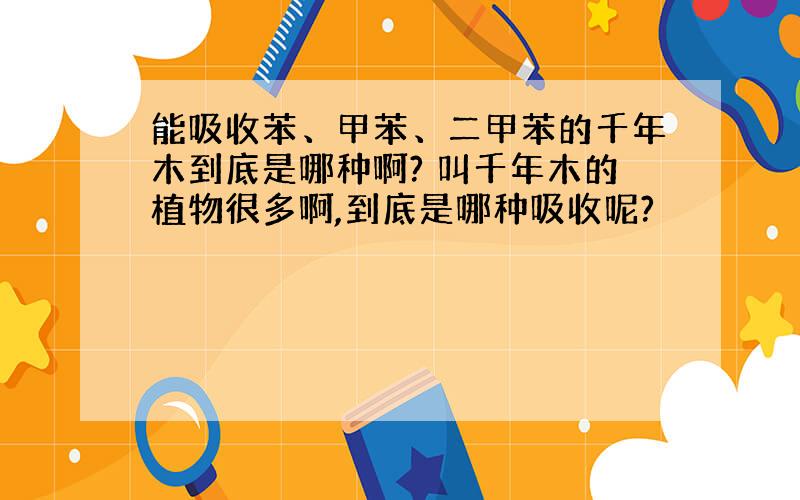 能吸收苯、甲苯、二甲苯的千年木到底是哪种啊? 叫千年木的植物很多啊,到底是哪种吸收呢?