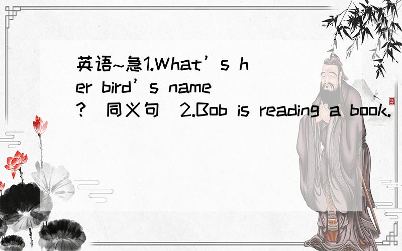 英语~急1.What’s her bird’s name?（同义句）2.Bob is reading a book.（用