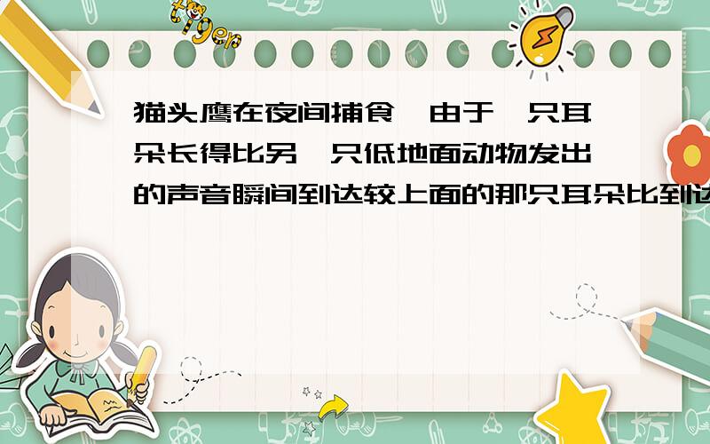 猫头鹰在夜间捕食,由于一只耳朵长得比另一只低地面动物发出的声音瞬间到达较上面的那只耳朵比到达教下面的那只晚,猫头鹰就可以