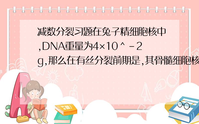 减数分裂习题在兔子精细胞核中,DNA重量为4×10＾-2g,那么在有丝分裂前期是,其骨髓细胞核中DNA重量为?(要具体的