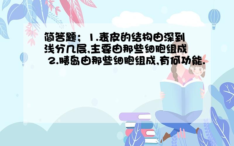 简答题；1.表皮的结构由深到浅分几层,主要由那些细胞组成 2.胰岛由那些细胞组成,有何功能.