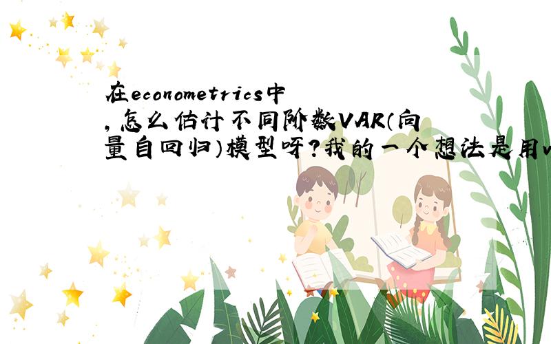 在econometrics中,怎么估计不同阶数VAR（向量自回归）模型呀?我的一个想法是用vgxvarx,但是输入中的s