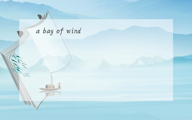 a bag of wind