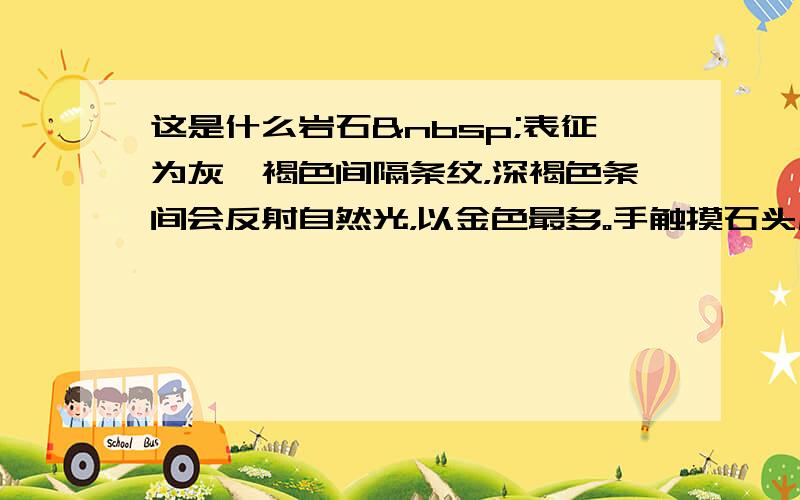 这是什么岩石 表征为灰、褐色间隔条纹，深褐色条间会反射自然光，以金色最多。手触摸石头后，接触处手掌会有微细反光