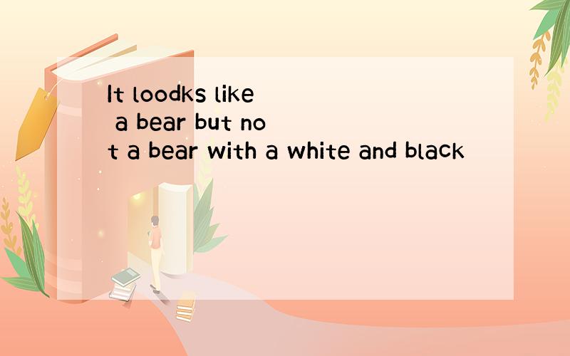 It loodks like a bear but not a bear with a white and black