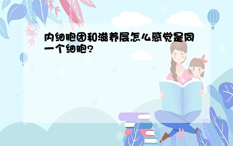 内细胞团和滋养层怎么感觉是同一个细胞?