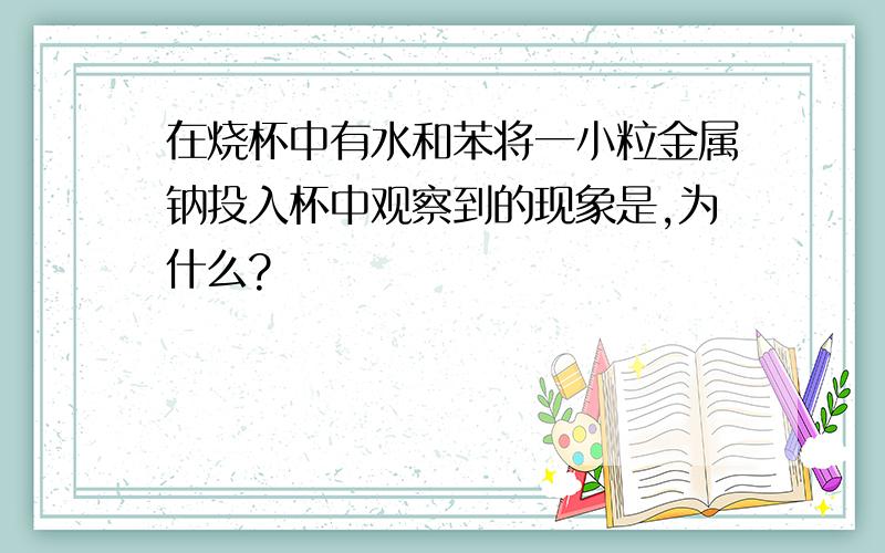 在烧杯中有水和苯将一小粒金属钠投入杯中观察到的现象是,为什么?