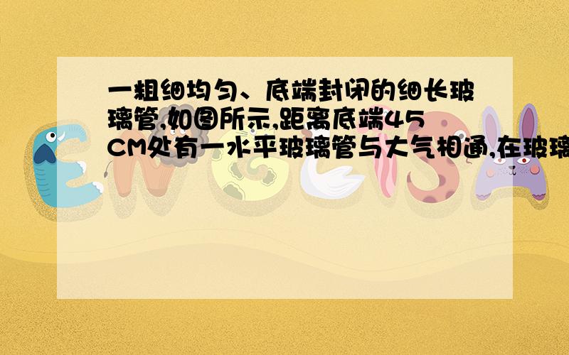 一粗细均匀、底端封闭的细长玻璃管,如图所示,距离底端45CM处有一水平玻璃管与大气相通,在玻璃管的竖直部分和水平部分有相