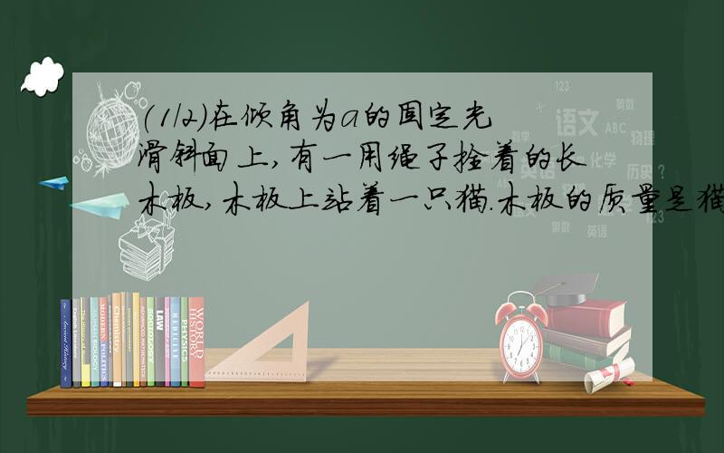 (1/2)在倾角为a的固定光滑斜面上,有一用绳子拴着的长木板,木板上站着一只猫.木板的质量是猫质量的2...