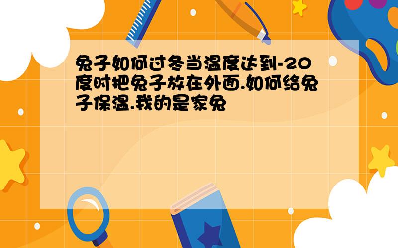 兔子如何过冬当温度达到-20度时把兔子放在外面.如何给兔子保温.我的是家兔