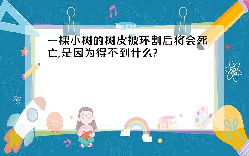 一棵小树的树皮被环割后将会死亡,是因为得不到什么?