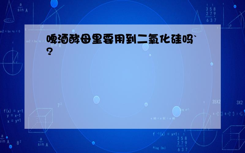 啤酒酵母里要用到二氧化硅吗`?