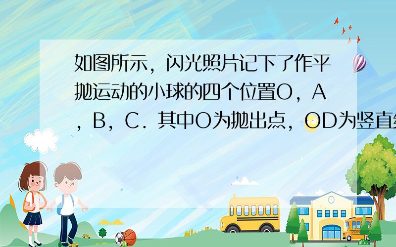 如图所示，闪光照片记下了作平抛运动的小球的四个位置O，A，B，C．其中O为抛出点，OD为竖直线，光间隔时间为130s&n