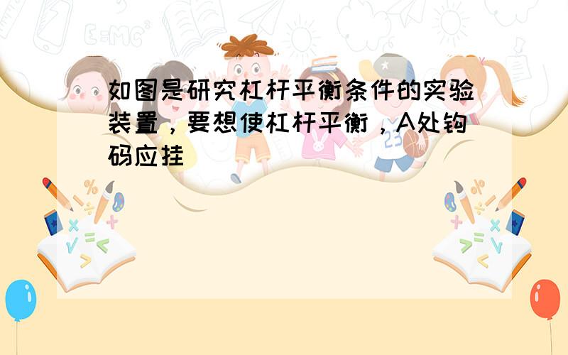 如图是研究杠杆平衡条件的实验装置，要想使杠杆平衡，A处钩码应挂（　　）