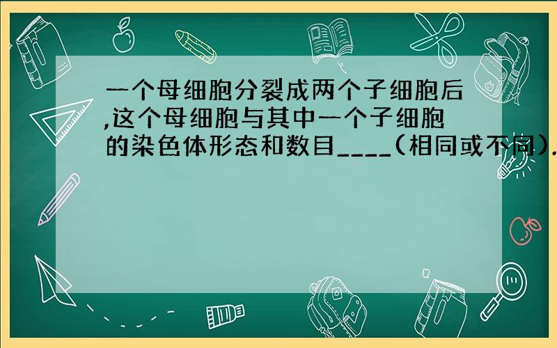 一个母细胞分裂成两个子细胞后,这个母细胞与其中一个子细胞的染色体形态和数目____(相同或不同).