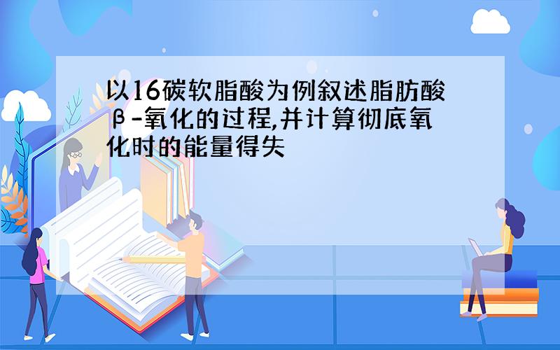 以16碳软脂酸为例叙述脂肪酸β-氧化的过程,并计算彻底氧化时的能量得失