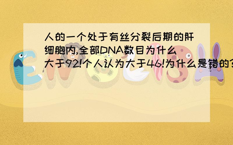 人的一个处于有丝分裂后期的肝细胞内,全部DNA数目为什么大于92!个人认为大于46!为什么是错的?