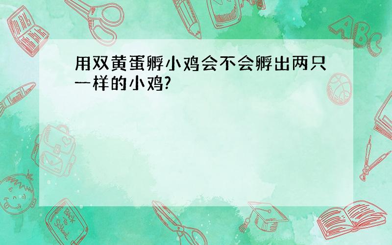 用双黄蛋孵小鸡会不会孵出两只一样的小鸡?