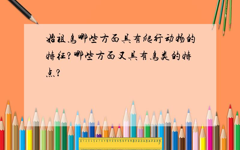 始祖鸟哪些方面具有爬行动物的特征?哪些方面又具有鸟类的特点?