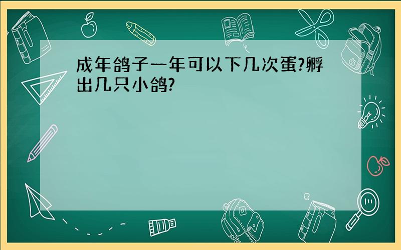 成年鸽子一年可以下几次蛋?孵出几只小鸽?