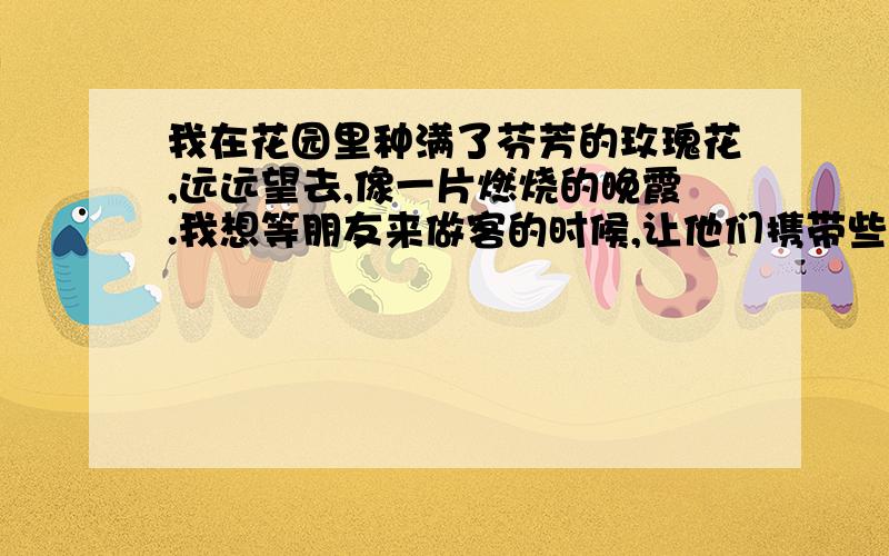 我在花园里种满了芬芳的玫瑰花,远远望去,像一片燃烧的晚霞.我想等朋友来做客的时候,让他们携带些玫瑰回家.我相信朋友捧着火