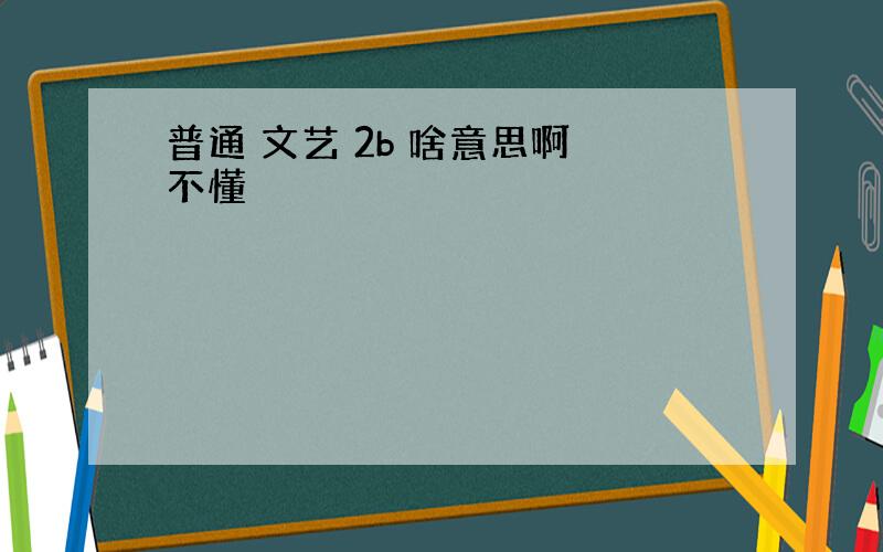 普通 文艺 2b 啥意思啊 不懂