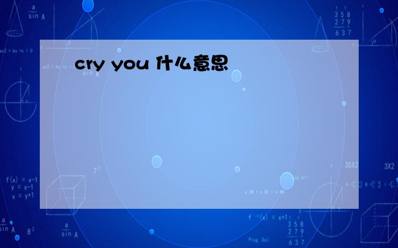 cry you 什么意思