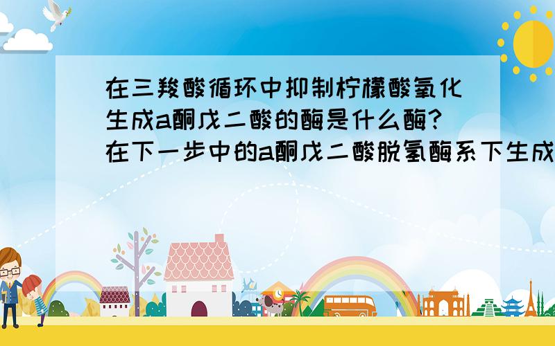 在三羧酸循环中抑制柠檬酸氧化生成a酮戊二酸的酶是什么酶?在下一步中的a酮戊二酸脱氢酶系下生成琥珀酰辅