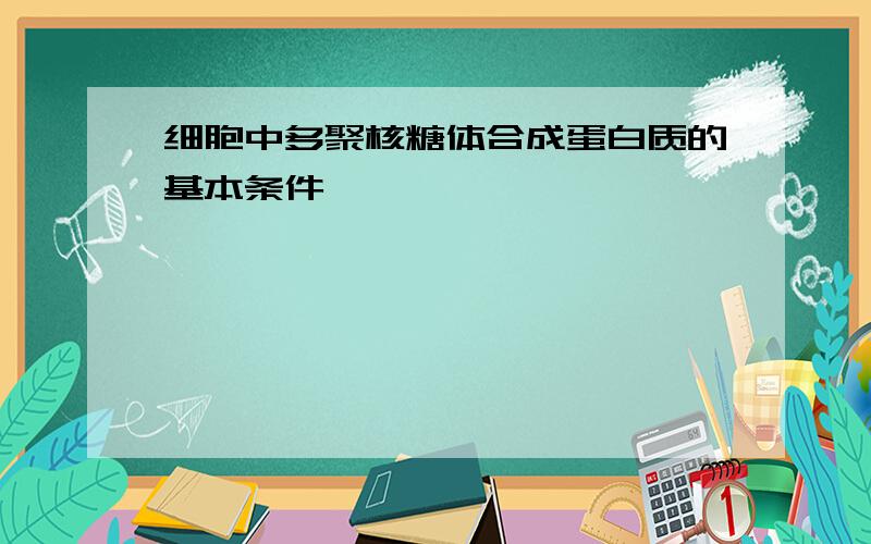 细胞中多聚核糖体合成蛋白质的基本条件