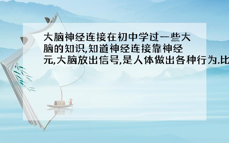 大脑神经连接在初中学过一些大脑的知识,知道神经连接靠神经元,大脑放出信号,是人体做出各种行为.比如图像经过视网膜传输到大