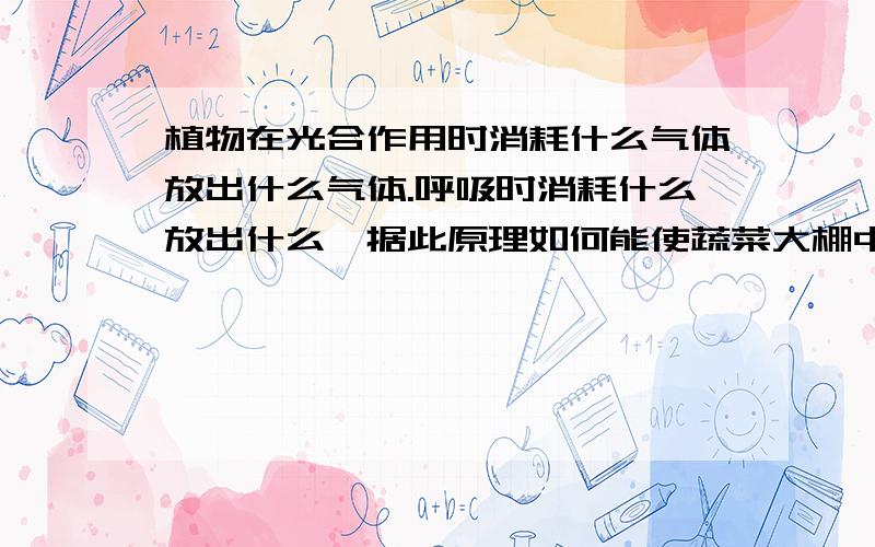 植物在光合作用时消耗什么气体放出什么气体.呼吸时消耗什么放出什么,据此原理如何能使蔬菜大棚中的植物生长更茂盛