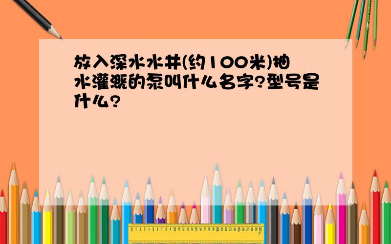 放入深水水井(约100米)抽水灌溉的泵叫什么名字?型号是什么?