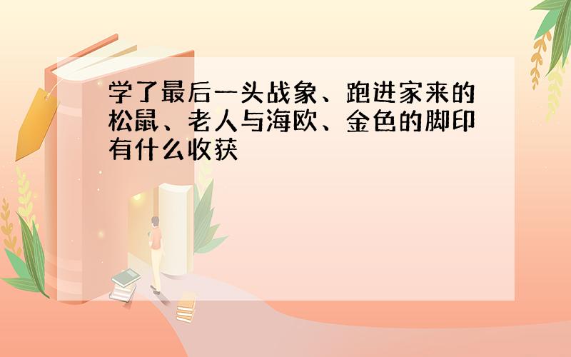 学了最后一头战象、跑进家来的松鼠、老人与海欧、金色的脚印有什么收获