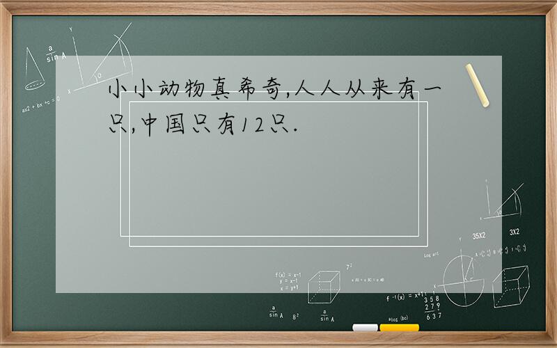 小小动物真希奇,人人从来有一只,中国只有12只.