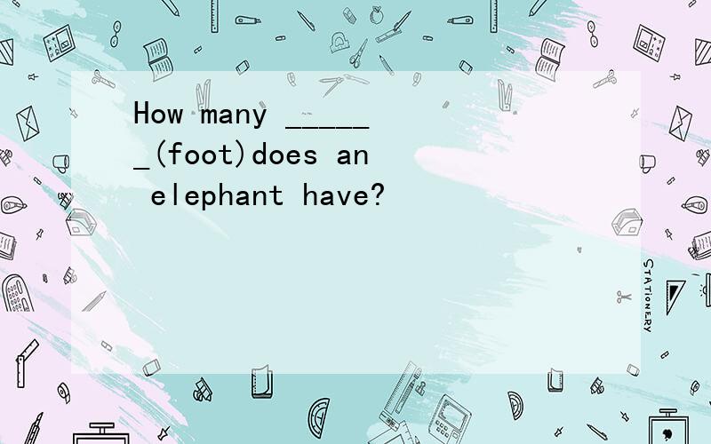 How many ______(foot)does an elephant have?