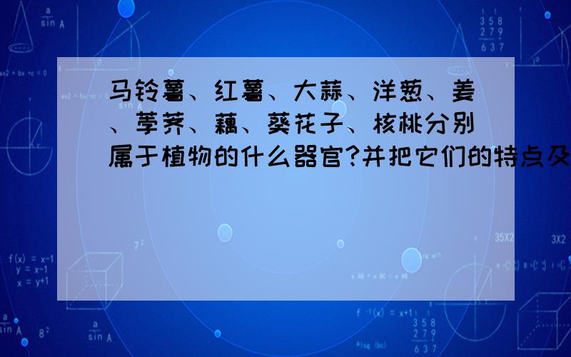 马铃薯、红薯、大蒜、洋葱、姜、荸荠、藕、葵花子、核桃分别属于植物的什么器官?并把它们的特点及功能简单记录下来.