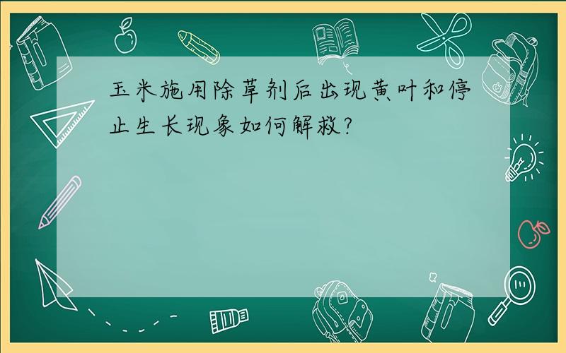 玉米施用除草剂后出现黄叶和停止生长现象如何解救?