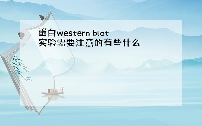 蛋白western blot实验需要注意的有些什么