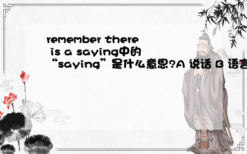 remember there is a saying中的“saying”是什么意思?A 说话 B 语言 C谚语 D 传说