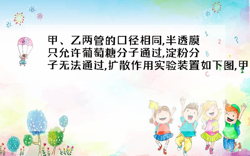 甲、乙两管的口径相同,半透膜只允许葡萄糖分子通过,淀粉分子无法通过,扩散作用实验装置如下图,甲、乙两管的口径相同,半透膜