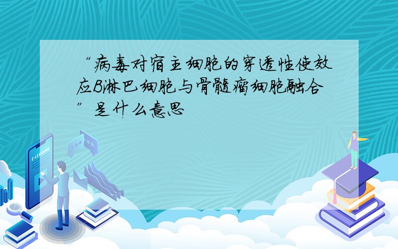 “病毒对宿主细胞的穿透性使效应B淋巴细胞与骨髓瘤细胞融合”是什么意思