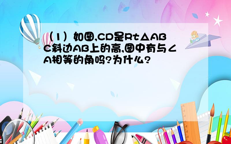 （1）如图,CD是Rt△ABC斜边AB上的高,图中有与∠A相等的角吗?为什么?