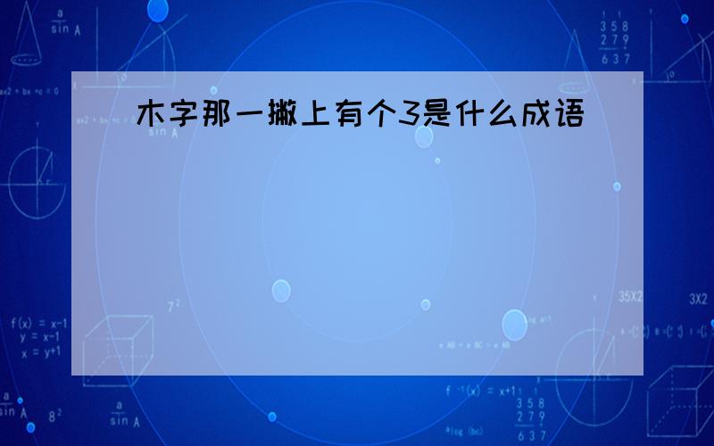 木字那一撇上有个3是什么成语