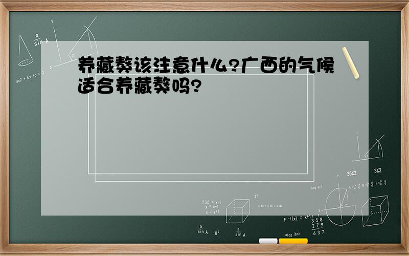 养藏獒该注意什么?广西的气候适合养藏獒吗?