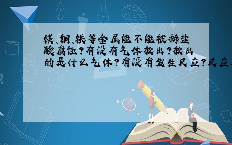 镁、铜、铁等金属能不能被稀盐酸腐蚀?有没有气体放出?放出的是什么气体?有没有发生反应?反应是否剧烈