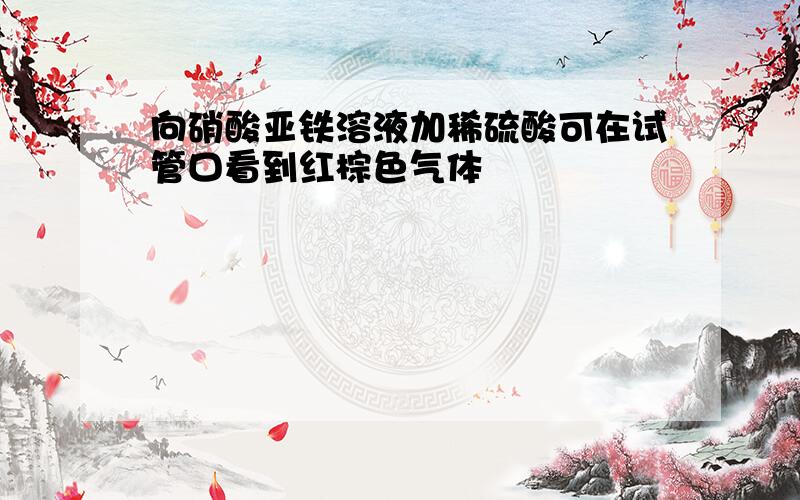 向硝酸亚铁溶液加稀硫酸可在试管口看到红棕色气体