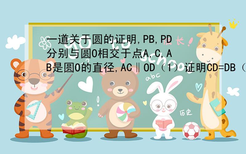 一道关于圆的证明,PB,PD分别与圆O相交于点A,C,AB是圆O的直径,AC‖OD（1）证明CD=DB（我这个做出来了,