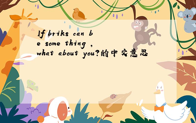 If briks can be some thing ,what about you?的中文意思