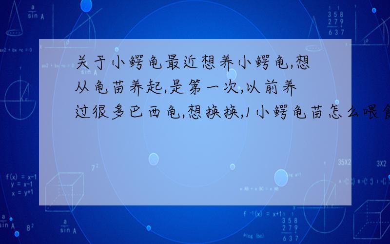 关于小鳄龟最近想养小鳄龟,想从龟苗养起,是第一次,以前养过很多巴西龟,想换换,1小鳄龟苗怎么喂食2它需要一个怎么样的环境