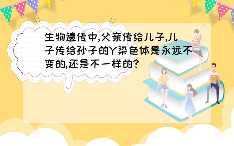 生物遗传中,父亲传给儿子,儿子传给孙子的Y染色体是永远不变的,还是不一样的?